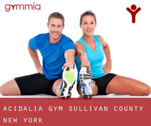 Acidalia gym (Sullivan County, New York)