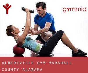 Albertville gym (Marshall County, Alabama)