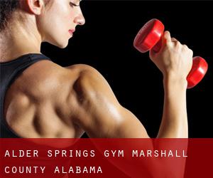 Alder Springs gym (Marshall County, Alabama)