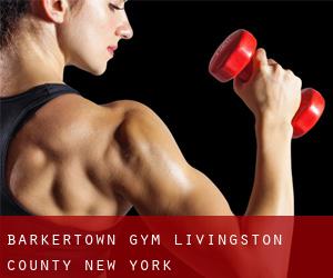 Barkertown gym (Livingston County, New York)