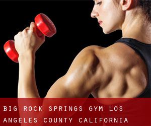 Big Rock Springs gym (Los Angeles County, California)
