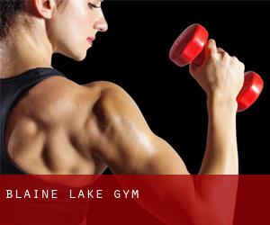 Blaine Lake gym