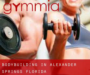BodyBuilding in Alexander Springs (Florida)