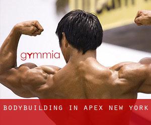BodyBuilding in Apex (New York)