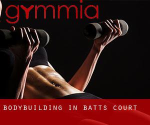 BodyBuilding in Batts Court
