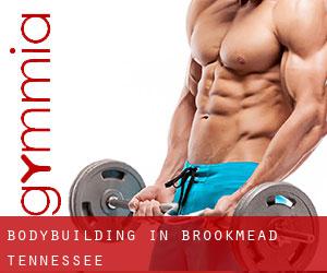 BodyBuilding in Brookmead (Tennessee)