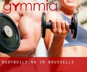 BodyBuilding in Brussells