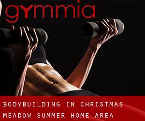 BodyBuilding in Christmas Meadow Summer Home Area