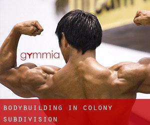BodyBuilding in Colony Subdivision