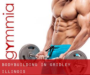 BodyBuilding in Gridley (Illinois)