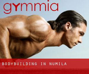 BodyBuilding in Numila