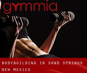 BodyBuilding in Sand Springs (New Mexico)