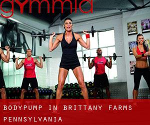 BodyPump in Brittany Farms (Pennsylvania)