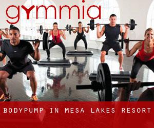 BodyPump in Mesa Lakes Resort