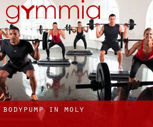 BodyPump in Moly