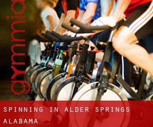 Spinning in Alder Springs (Alabama)