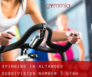 Spinning in Altawood Subdivision Number 3 (Utah)