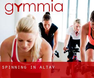 Spinning in Altay