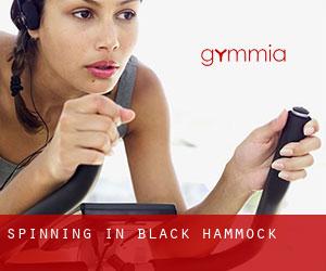 Spinning in Black Hammock