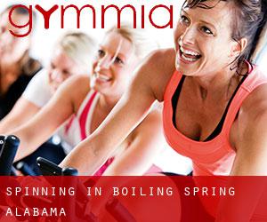 Spinning in Boiling Spring (Alabama)