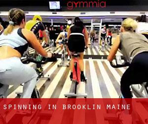 Spinning in Brooklin (Maine)