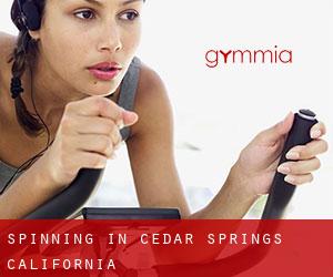 Spinning in Cedar Springs (California)