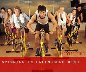 Spinning in Greensboro Bend