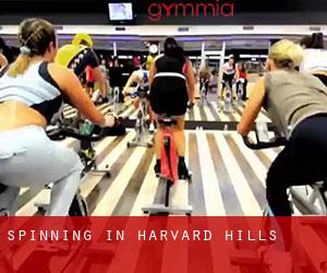 Spinning in Harvard Hills