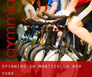 Spinning in Monticello (New York)