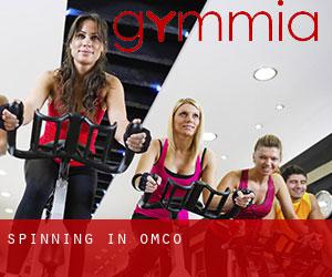 Spinning in Omco