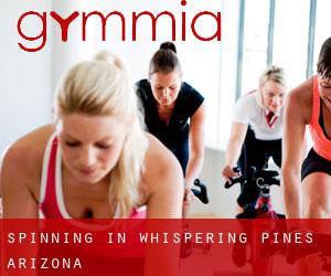 Spinning in Whispering Pines (Arizona)
