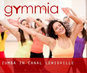 Zumba in Canal Lewisville