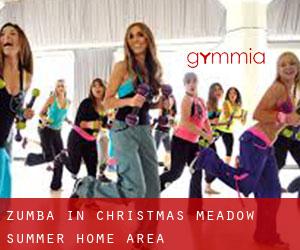 Zumba in Christmas Meadow Summer Home Area