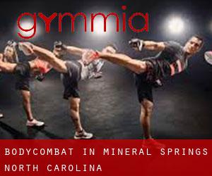 BodyCombat in Mineral Springs (North Carolina)