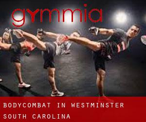BodyCombat in Westminster (South Carolina)
