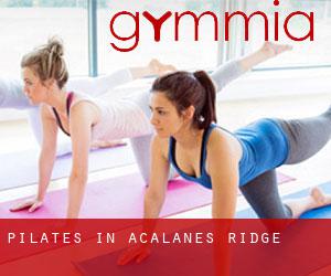 Pilates in Acalanes Ridge
