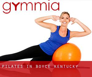 Pilates in Boyce (Kentucky)