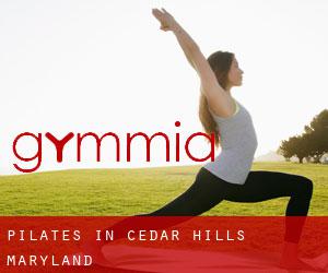 Pilates in Cedar Hills (Maryland)