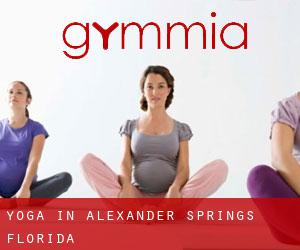 Yoga in Alexander Springs (Florida)