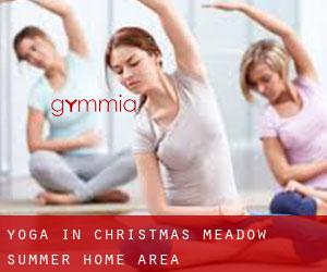 Yoga in Christmas Meadow Summer Home Area