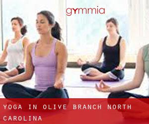 Yoga in Olive Branch (North Carolina)