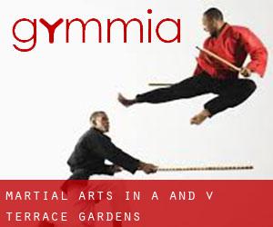 Martial Arts in A and V Terrace Gardens