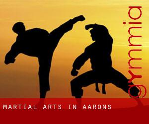 Martial Arts in Aarons