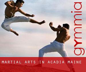 Martial Arts in Acadia (Maine)
