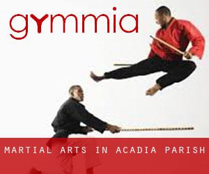 Martial Arts in Acadia Parish