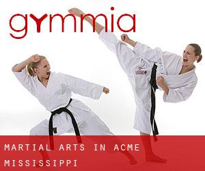 Martial Arts in Acme (Mississippi)