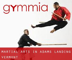Martial Arts in Adams Landing (Vermont)