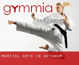 Martial Arts in Ahtanum