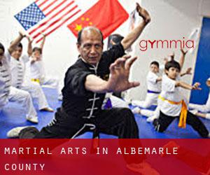 Martial Arts in Albemarle County