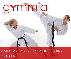 Martial Arts in Albertsons Center